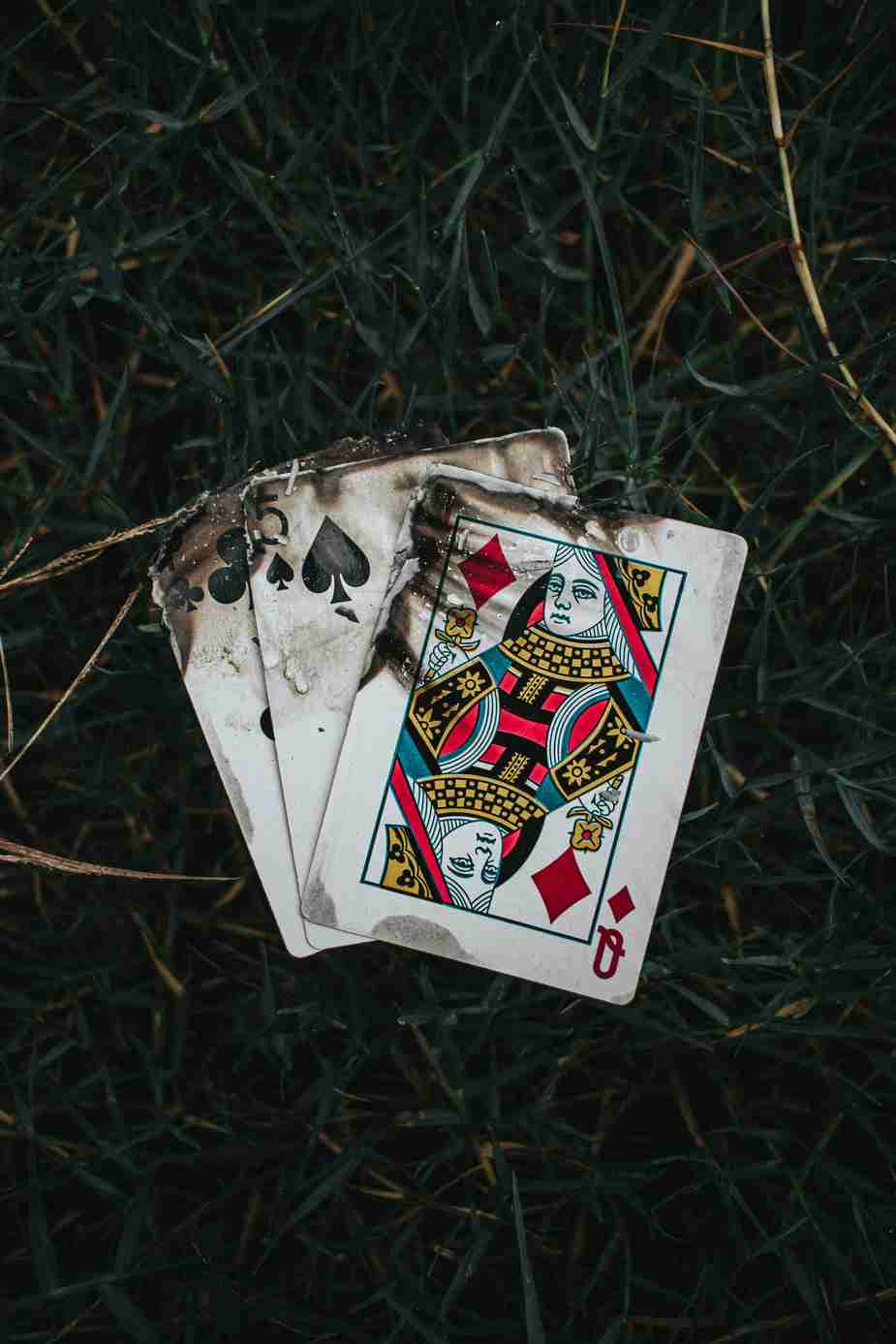 Polestar Casino : Un Casino Sans Licence